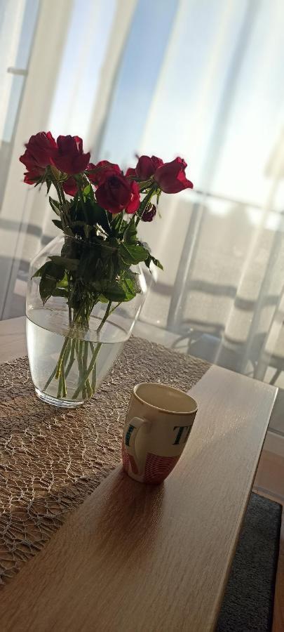 Nova Apartment Санок Екстер'єр фото