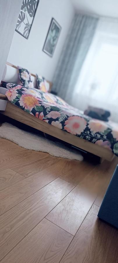 Nova Apartment Санок Екстер'єр фото